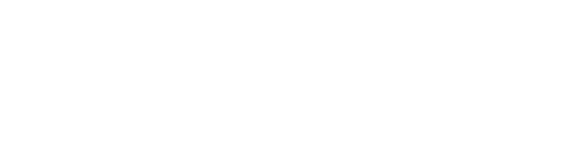 Sinetic company logo